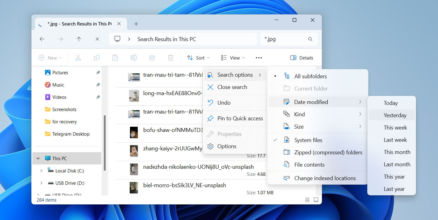 Windowsの検索オプションを使用