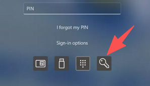 代わりにパスワードオプションを使用してログインする