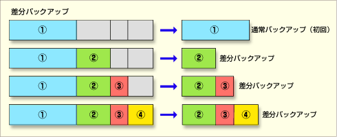 差分バックアップ