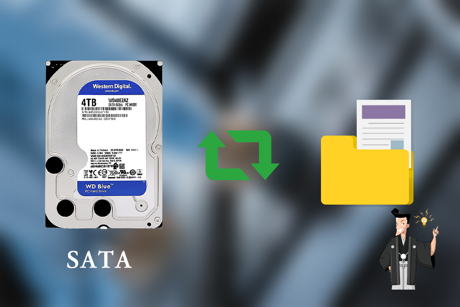 hdd 認識しない sata